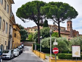 IMG_20260529_145248